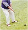 variable Annuity
